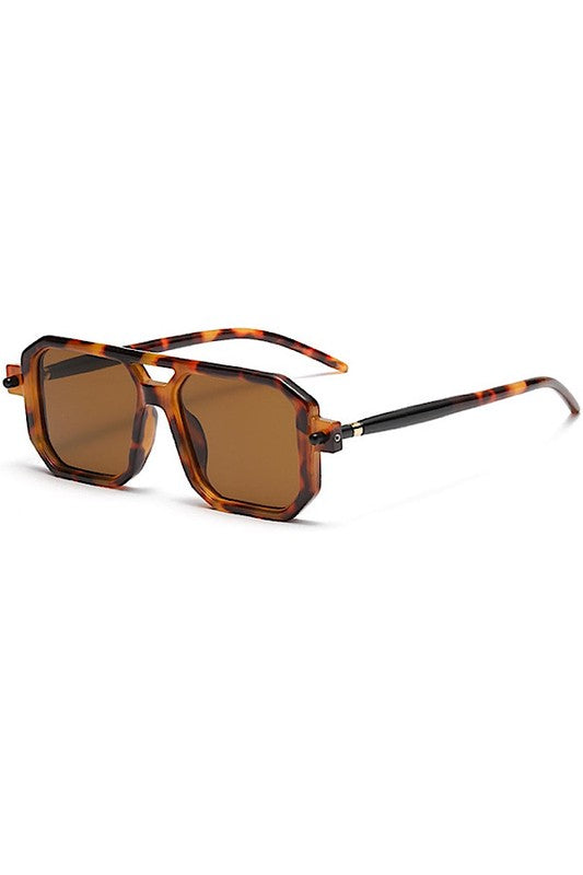 Brown Big Frame Sunglasses